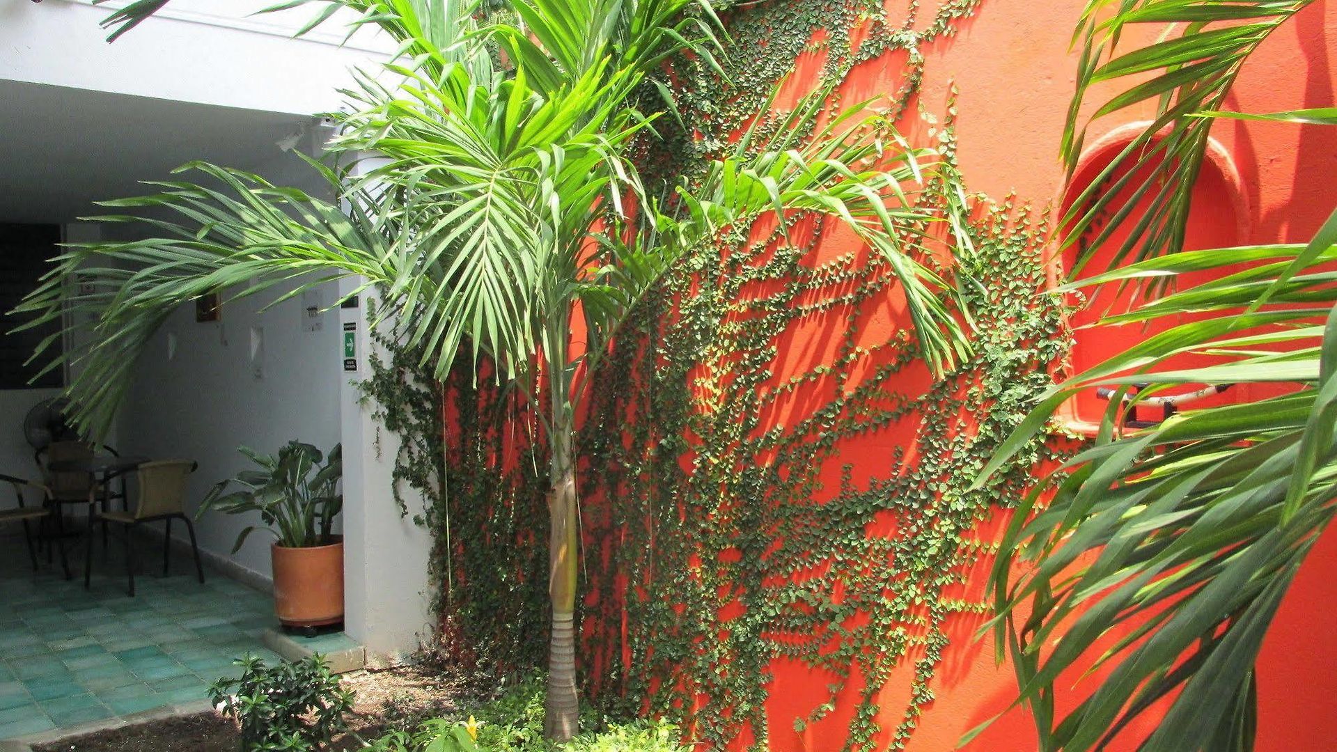 Hotel Zana Boutique 3*
