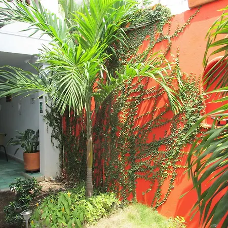 Hotel Zana Boutique 3*